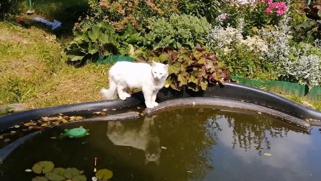 Поездка на дачу к родителям. смотреть онлайн