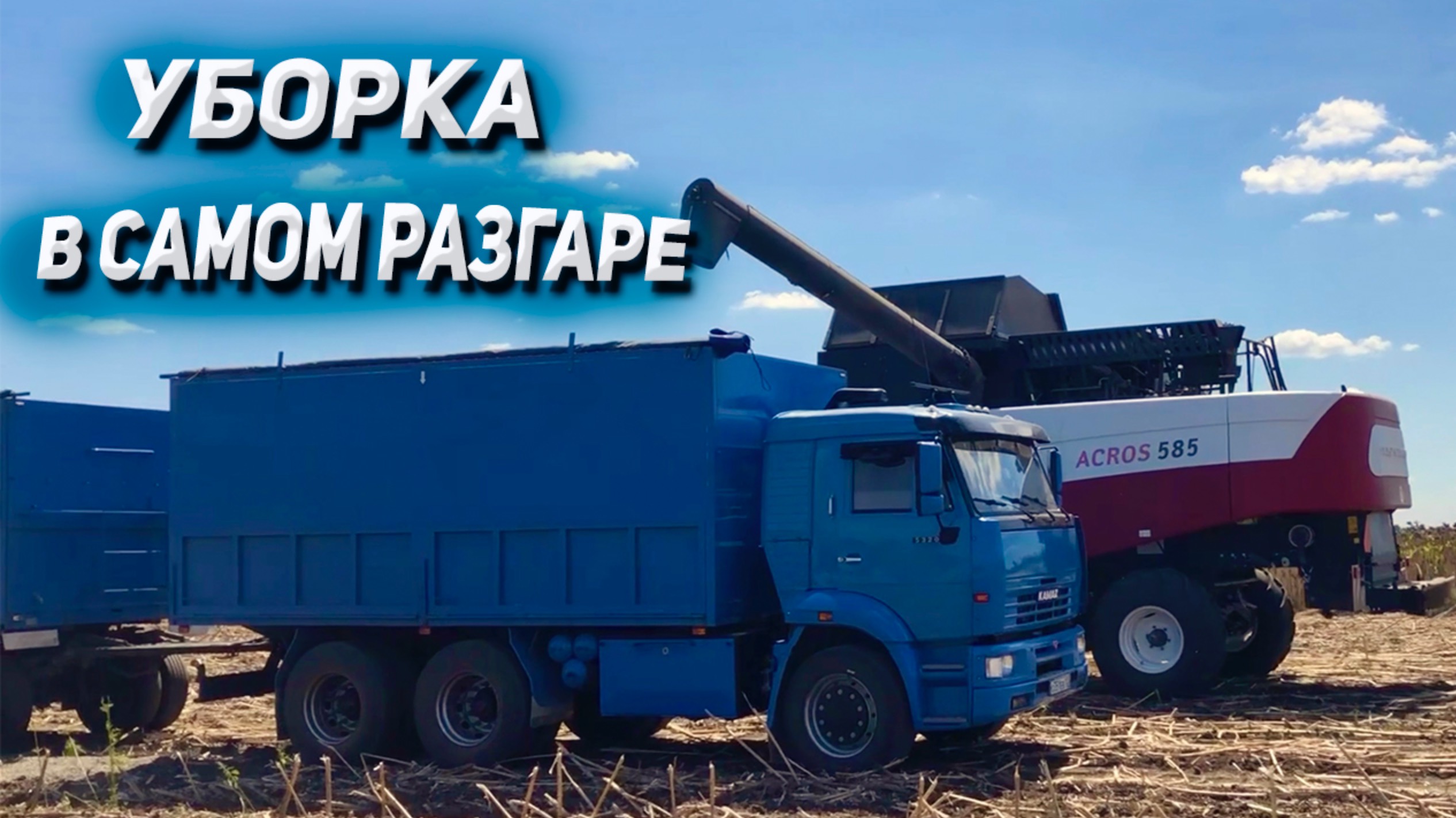 Уборка на КАМАЗЕ в самом разгаре