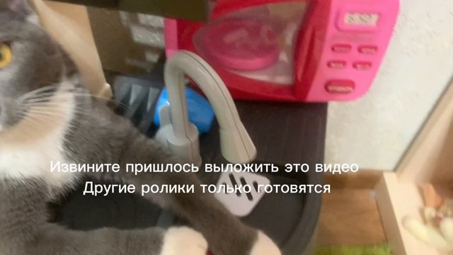 Кот смотреть онлайн