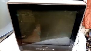 Телевизор Erisson  21F35 не включается.