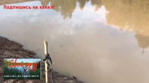 ПРУД. СВОЙ ПРУД. РЯСКА в пруду как новая ЭКОСИСТЕМА!!! Свой «молодой» пруд. Результаты наполнения.