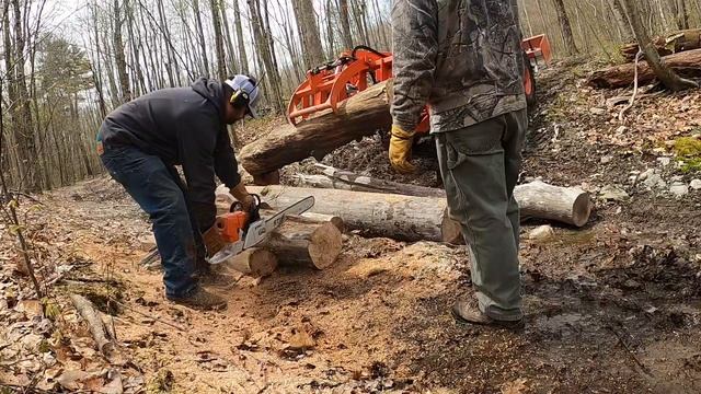 Getting Wood with the STIHL MS461 & KUBOTA L3301 смотреть онлайн