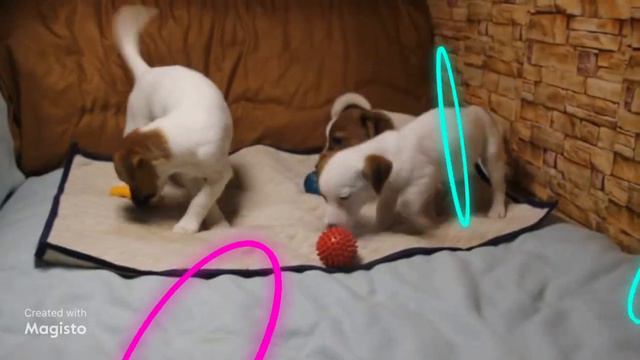 Кит, Кипер и Кинг. смотреть онлайн