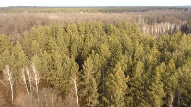 РЕЧКА ТАЛЬ. ТАЛЬСКАЯ ГРИВА, ГОРОДИЩЕ и ТАЛЬСКАЯ ГРЯДА (15.01.2020) смотреть онлайн