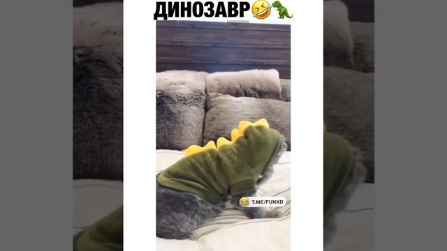 video_12@10-10-2020_07-59-15.mp4 смотреть онлайн