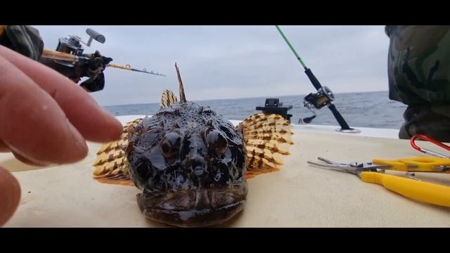 Вышли на рыбалку в Балтийское море . смотреть онлайн