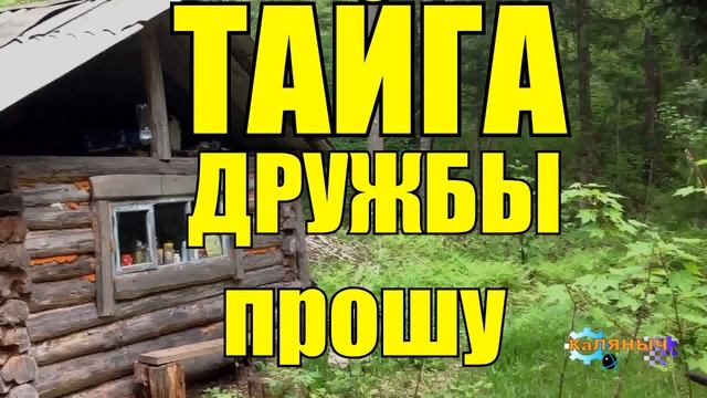 УДИВИТЕЛЬНОЕ РЯДОМ | ТАЙГА смотреть онлайн