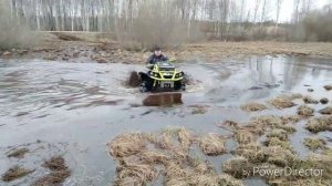 Вездеход аллигатор или брпи 1000