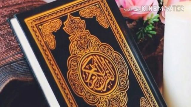 حالة واتساب | فسيروا _ عبد العزيز عبد الغني 💜👇 смотреть онлайн