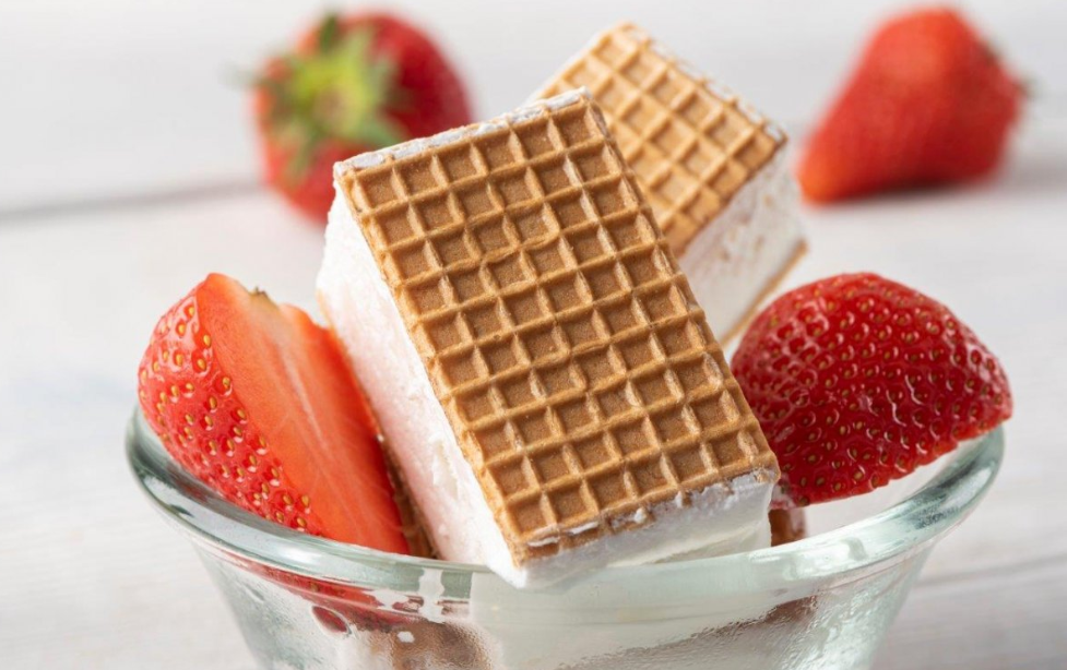 Мороженое пломбир в брекете своими руками. Пломбир с клюквой.