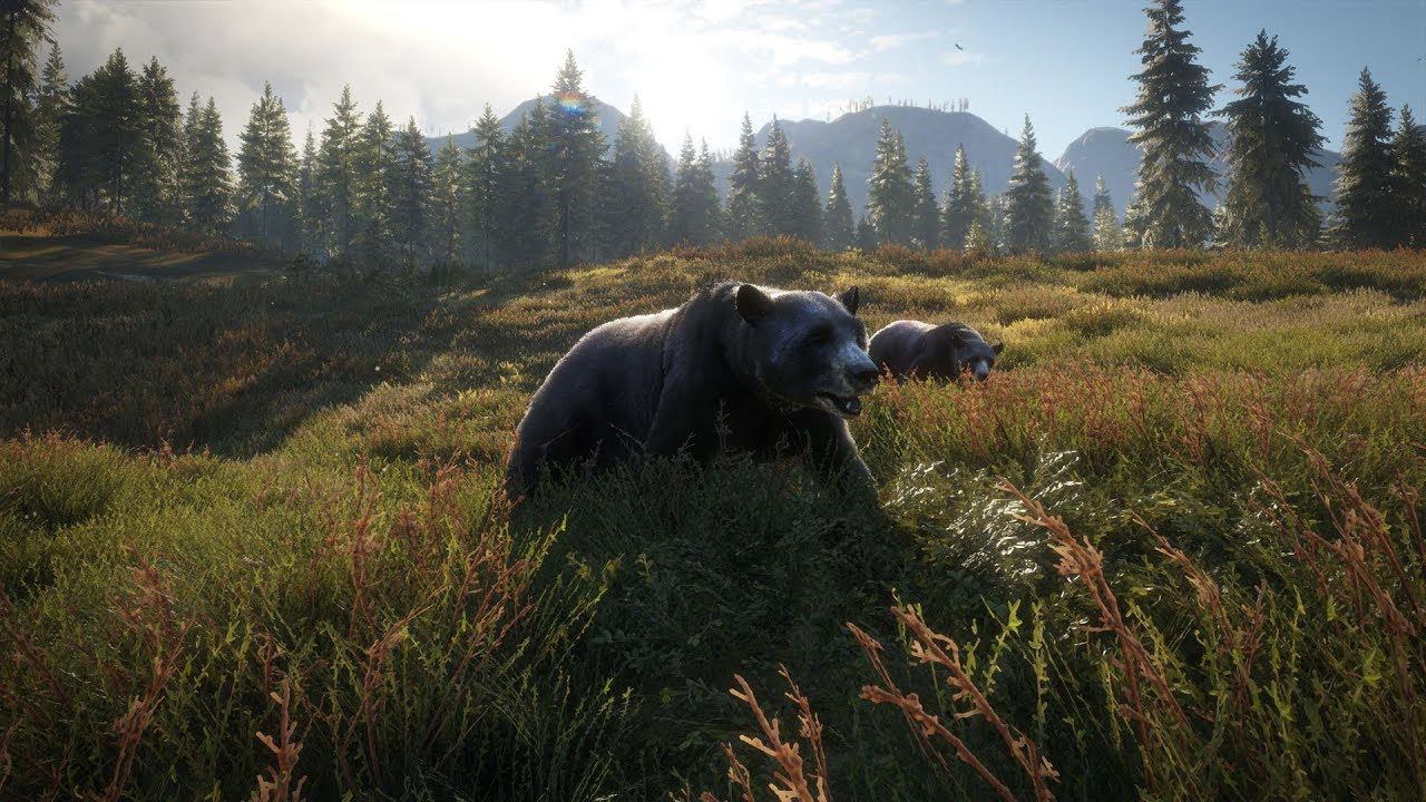theHunter call of the wild | СТРИМ |В поисках редких экземпляров смотреть онлайн