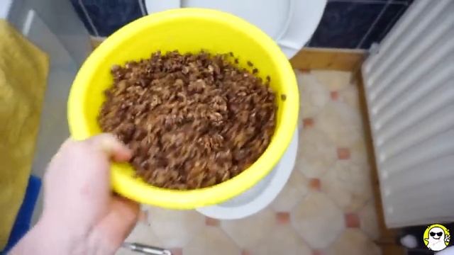 Will it Flush? Lots Of Cereal With Milk 2 смотреть онлайн