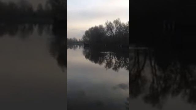 Silvercarp 15kg Толстолобик 15кг смотреть онлайн