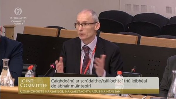 Committee on the Irish Language, the Gaeltacht and the Islands - 12 Feb 2019