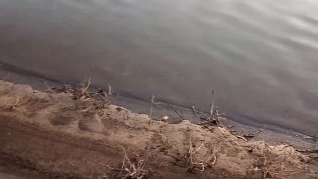 Третий выезд на рыбалку на налима, наконец-то мы его хоть увидели#рыбалка#рыбалкананалима#иглино