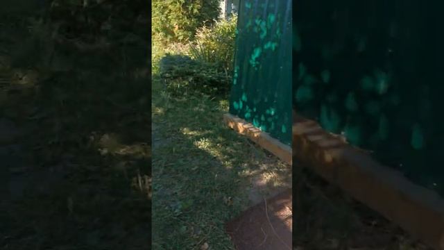 Заботы осеннего лета смотреть онлайн