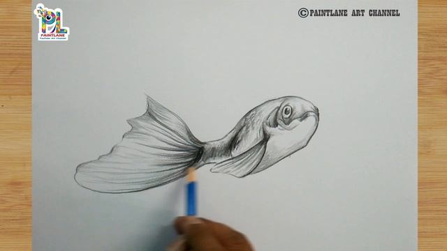 How To Draw Pencil Sketch And Shading A Fish For Beginners || Pencil Art Tutorial