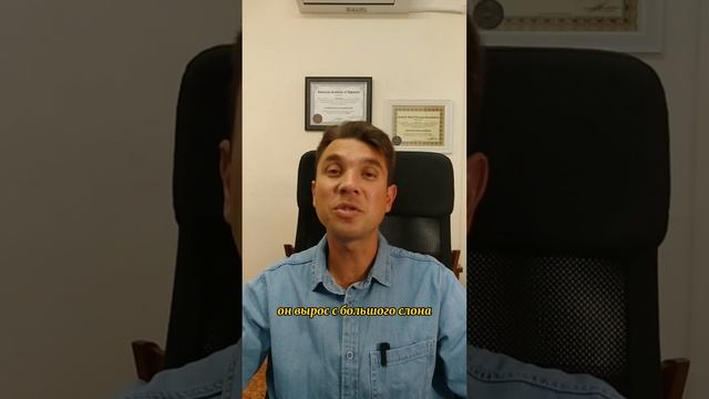 Убеждения, что это? смотреть онлайн