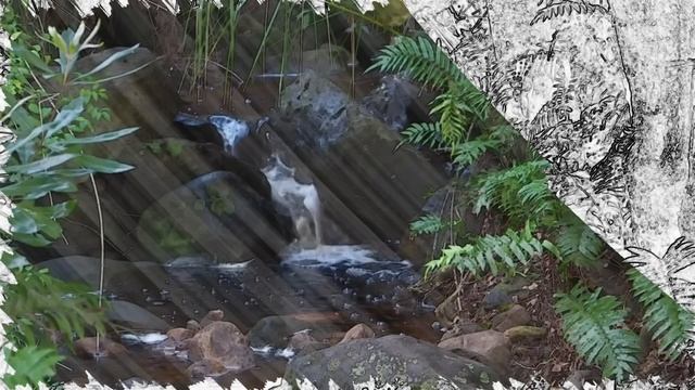 Чтобы всегда быть спокойным и ничего не бояться Старец Вонифатий смотреть онлайн