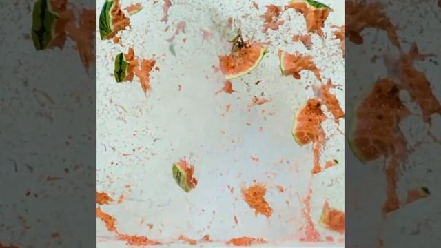Amazing Watermelon Party Tricks # Watermelon Blast # Absolutely Cool Party Hacks #Shorts смотреть онлайн