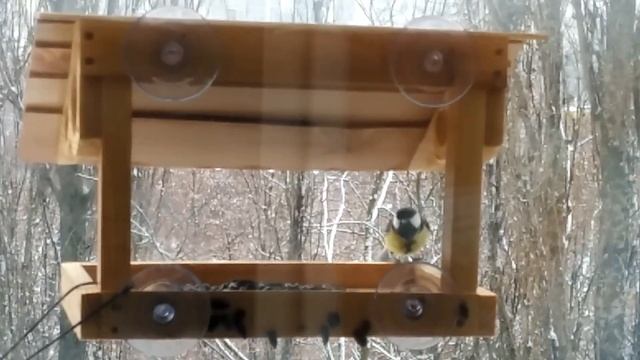 Кормушка-синичник смотреть онлайн