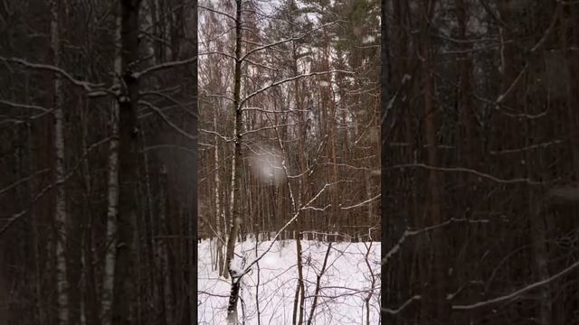 Совместимость по Архетипам #отношения #совместимостьвпаре Совместимость по дате рождения смотреть онлайн