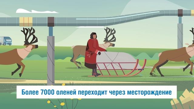 Хара и Савэй. Приключения в Арктике. Первый сезон, вторая серия.