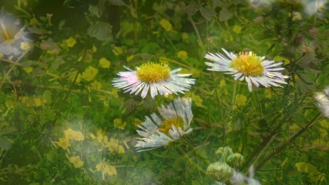 ЭТА Вещь на Столе привлечёт в Жизнь Безденежье смотреть онлайн