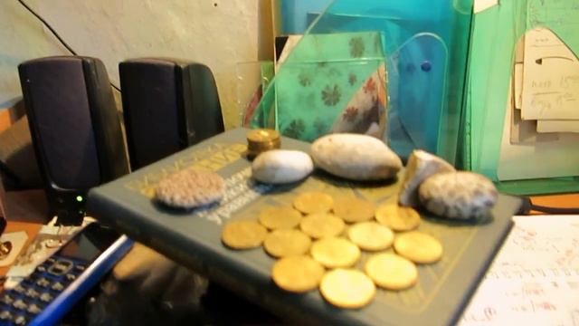 (142) конфликт многоклеточного мата для ИнБЮМ 2 часть смотреть онлайн