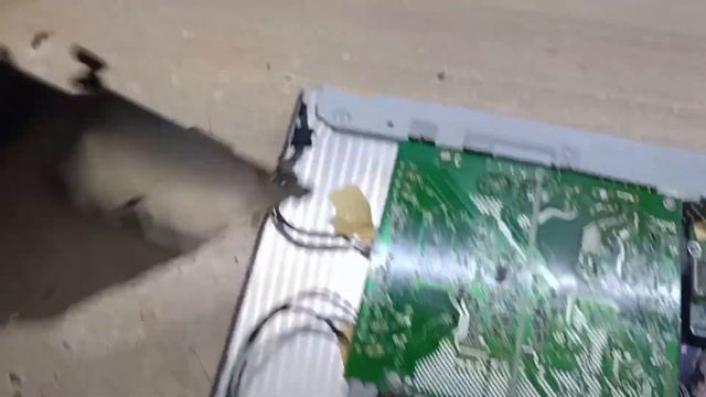 How to Fix LG Flatron LX97WH Monitor / Dead / No Power / Led Repairing / No Display / Solution смотреть онлайн