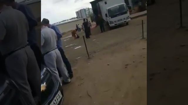 Учкудук мой родной город смотреть онлайн