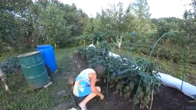 Баба Фрося смотреть онлайн