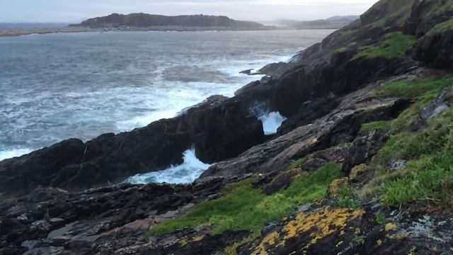 Mockingbird Island - Coffs Harbour Australia смотреть онлайн