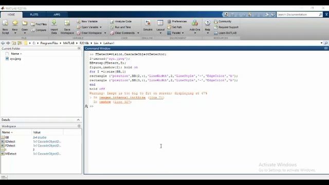 tutorial detects face, mouth and nose using matlab смотреть онлайн