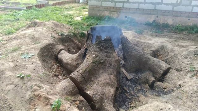 Самый простой способ избавиться от ОГРОМНОГО пня на участке. Бюджетно и быстро. смотреть онлайн