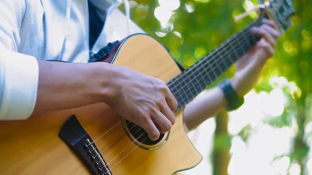 Rockstar-Post Malone ft.21 Savage fingerstyle guitar cover arrangement by eddie van der meer смотреть онлайн