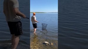 Рыбалка?Ирикла?