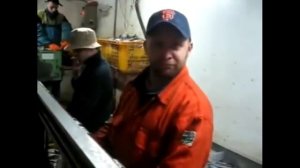 ПОСТАНОВКА ЯРУСА НА ПАЛТУСА И ТРЕСКУ