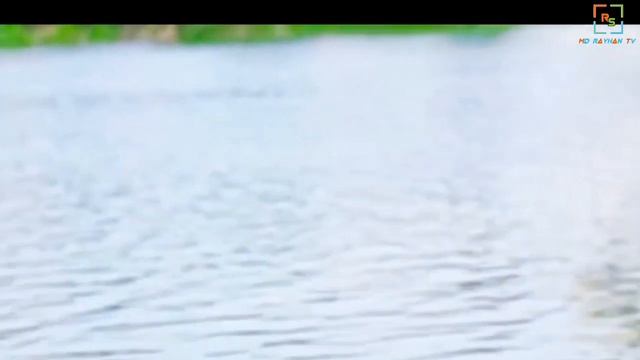 ভুল কইরাও পিরিতের নাম নিবোনা আর মুখে Bangla New Song Video смотреть онлайн