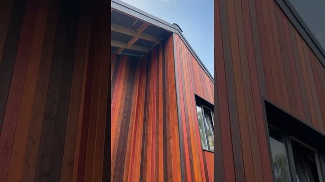 Термососна: Магия тепла и стиля на вашем фасаде смотреть онлайн