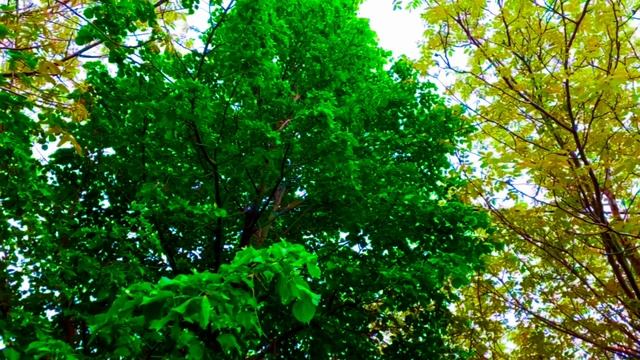 ПОЗИТИВНАЯ И ЭНЕРГИЧНАЯ МУЗЫКА ДЛЯ ПОДНЯТИЯ НАСТРОЕНИЯ И ЭНЕРГИИ смотреть онлайн