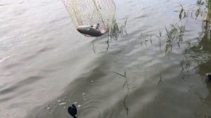 Рыбалка в Крыму на донузлаве