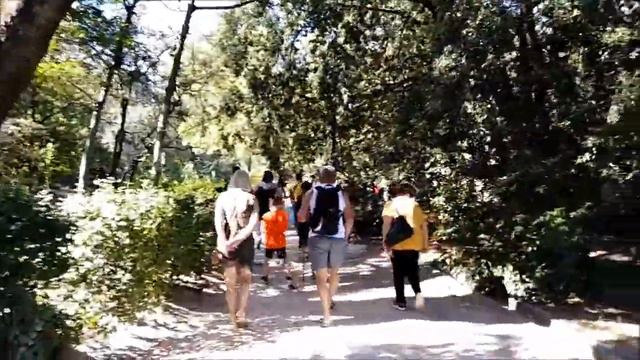 Отдых в Крыму смотреть онлайн