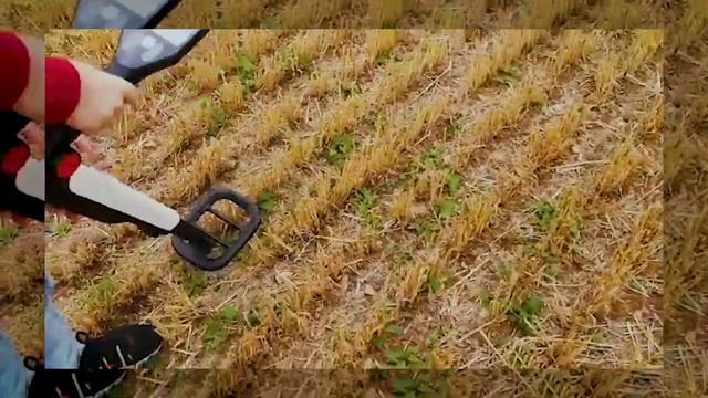 Absolute Beginners Guide to Metal Detecting - The Go Find 11 for Kids - Detecting with my Son смотреть онлайн