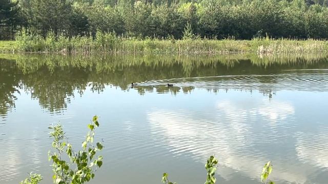 Весна на Лебяжьем озере смотреть онлайн