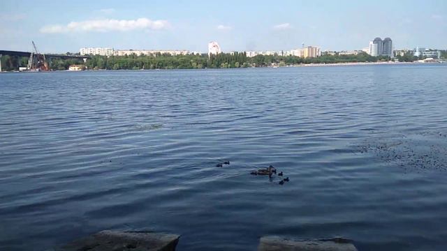 Крутое местечко для пикника на Хортице, типа вход запрещен! Рыбацкие заметки. смотреть онлайн
