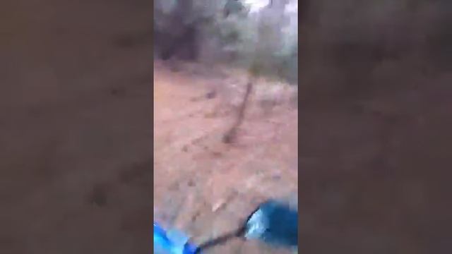 Off road on Moped in crappy SC pt. 2 смотреть онлайн