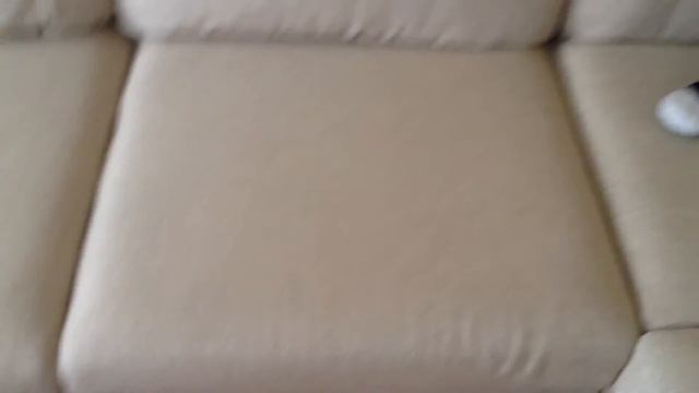 Как найти кота смотреть онлайн