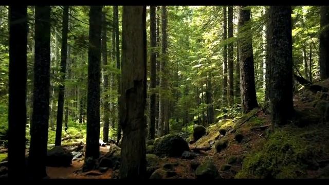 "После 30ти влюбиться сложно.." Жизненный стих о любви смотреть онлайн