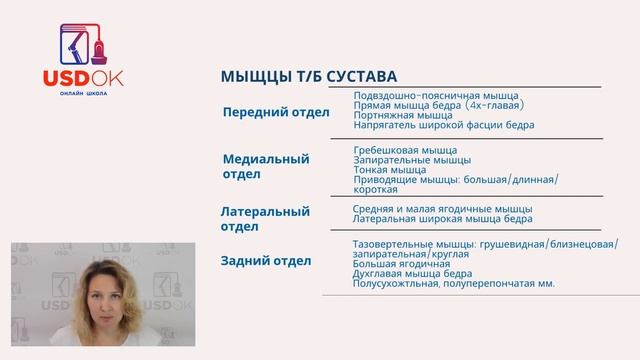 Видео урок УЗИ тазобедренного сустава   анатомия